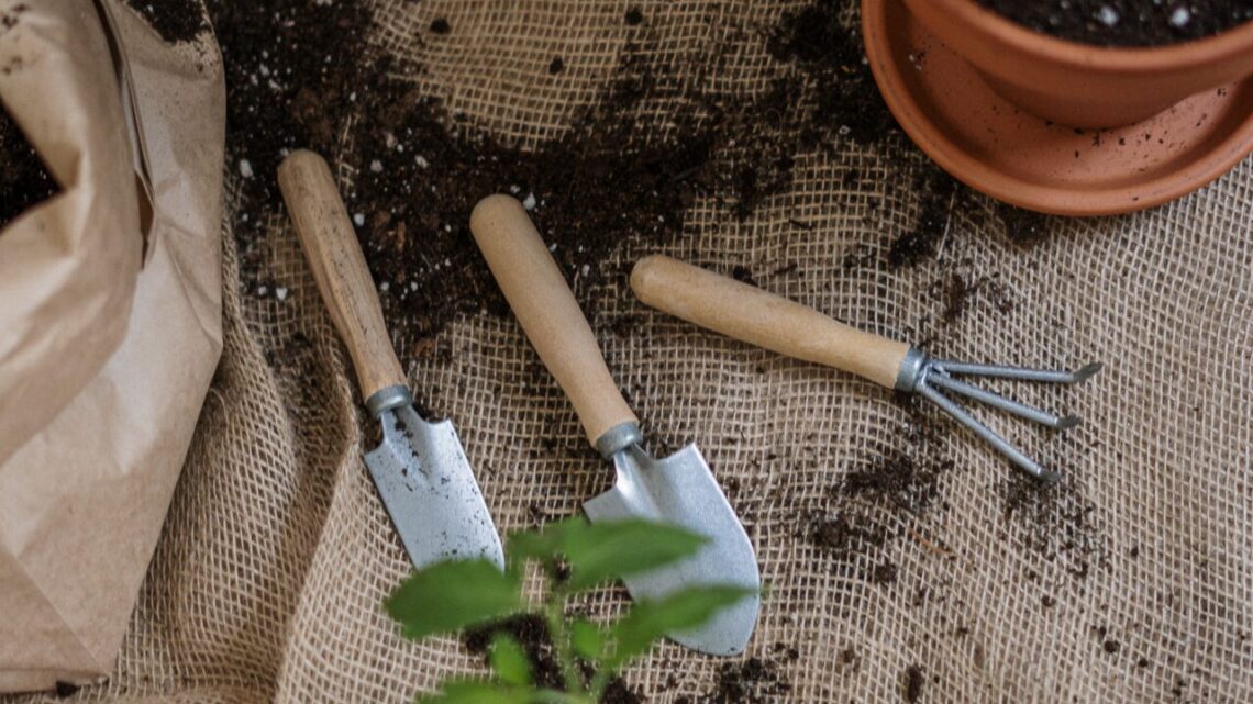 Le jardinage, un thème de team building très prisé !